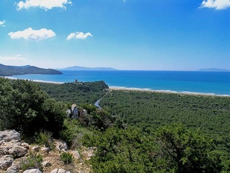 zobacz camping - zdjęcie 10