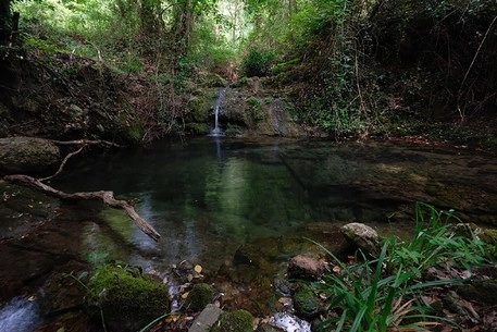 zobacz camping - zdjęcie 6