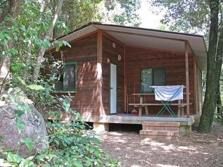 zobacz camping - zdjęcie 5