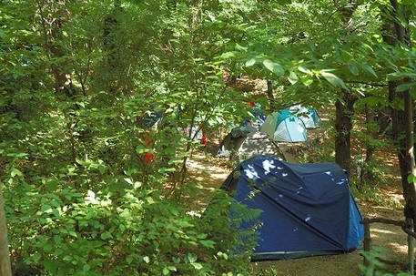 zobacz camping - zdjęcie 4