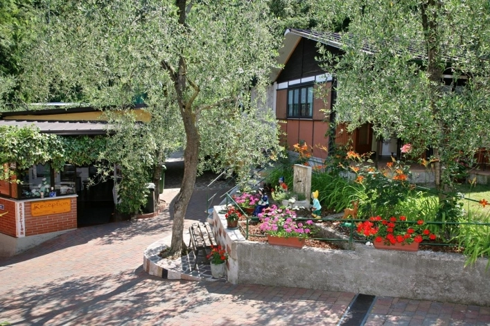 zobacz camping - zdjęcie 19