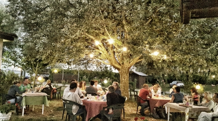 zobacz camping - zdjęcie 16