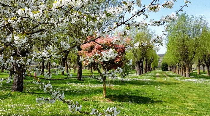 Camping La Grata - zdjęcie 1