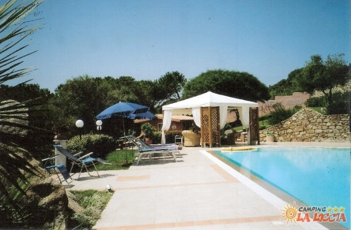 zobacz camping - zdjęcie 40