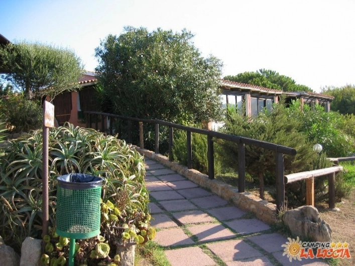 zobacz camping - zdjęcie 39