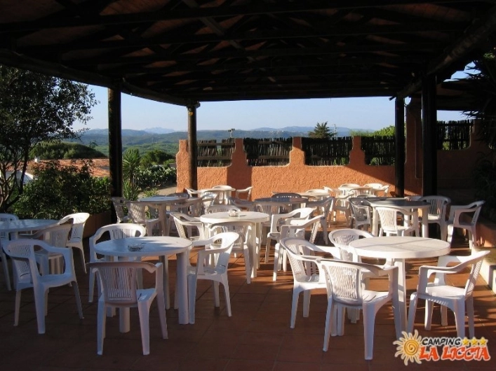 zobacz camping - zdjęcie 37