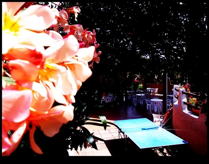 zobacz camping - zdjęcie 36