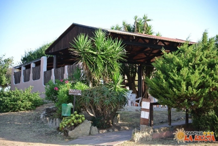 zobacz camping - zdjęcie 35