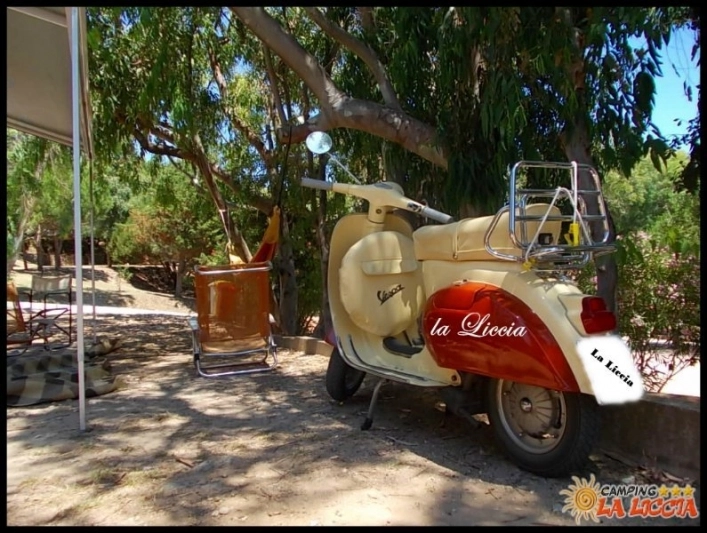 zobacz camping - zdjęcie 32