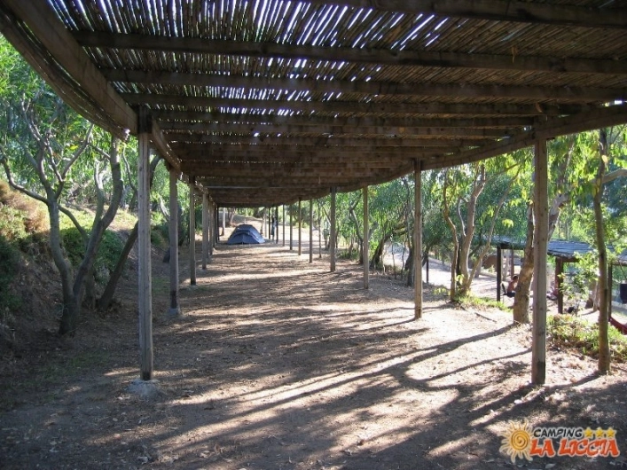 zobacz camping - zdjęcie 31