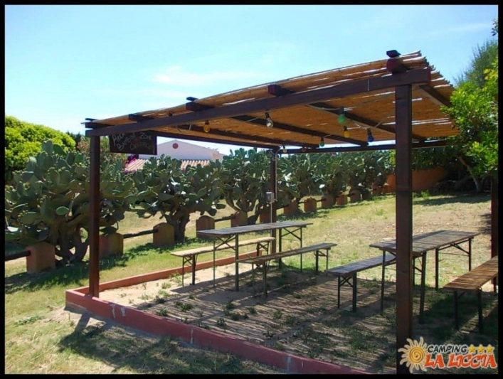 zobacz camping - zdjęcie 26