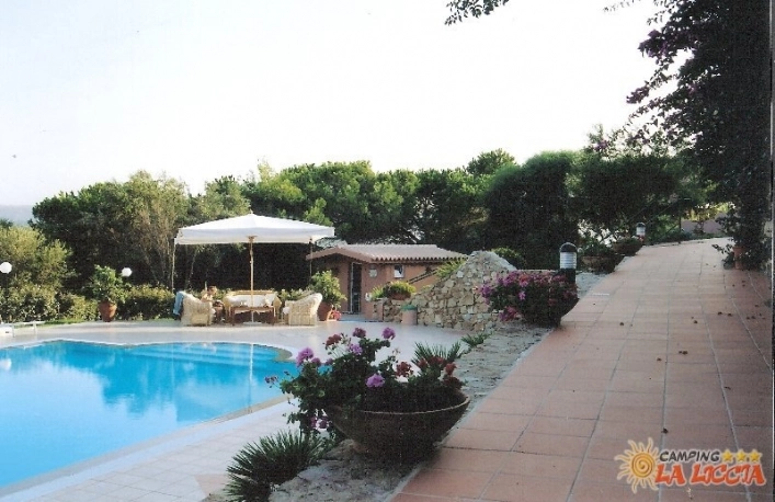 zobacz camping - zdjęcie 25