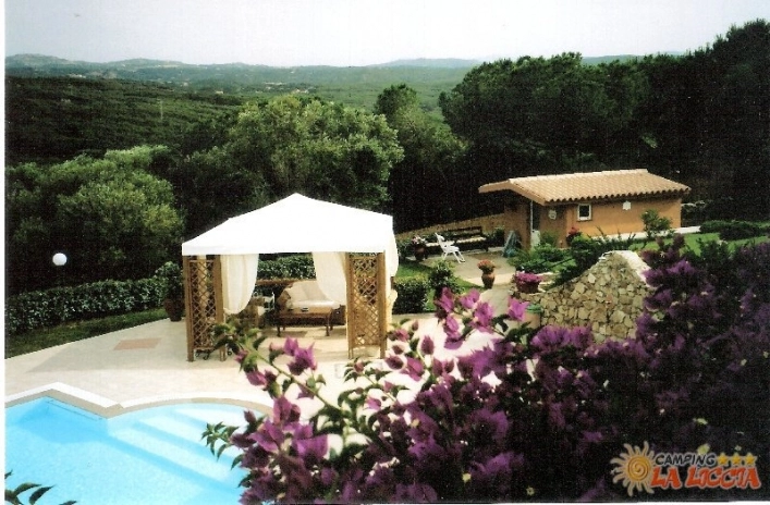 zobacz camping - zdjęcie 22