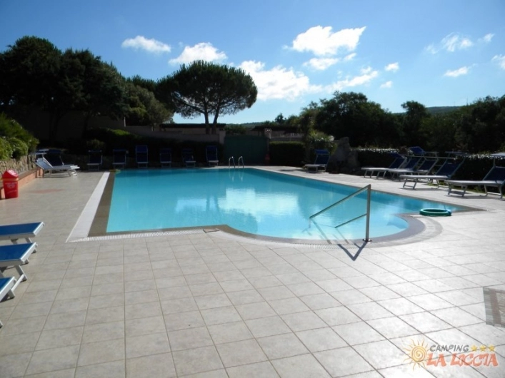 zobacz camping - zdjęcie 21