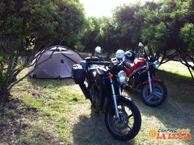 zobacz camping - zdjęcie 19