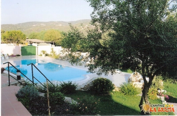 zobacz camping - zdjęcie 17