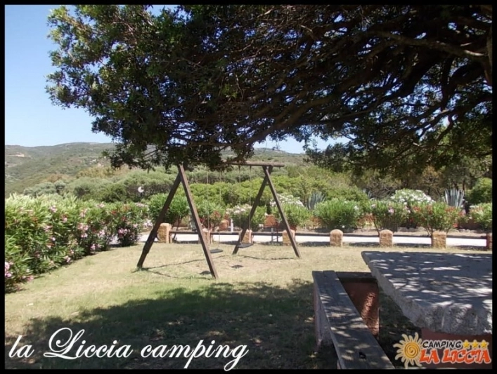 zobacz camping - zdjęcie 12