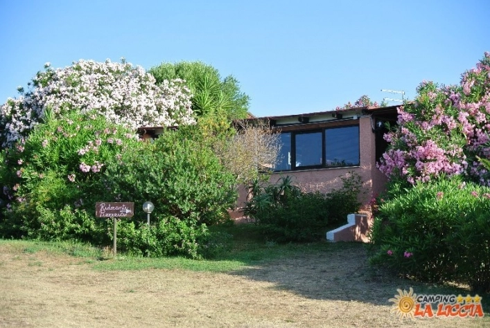 zobacz camping - zdjęcie 11