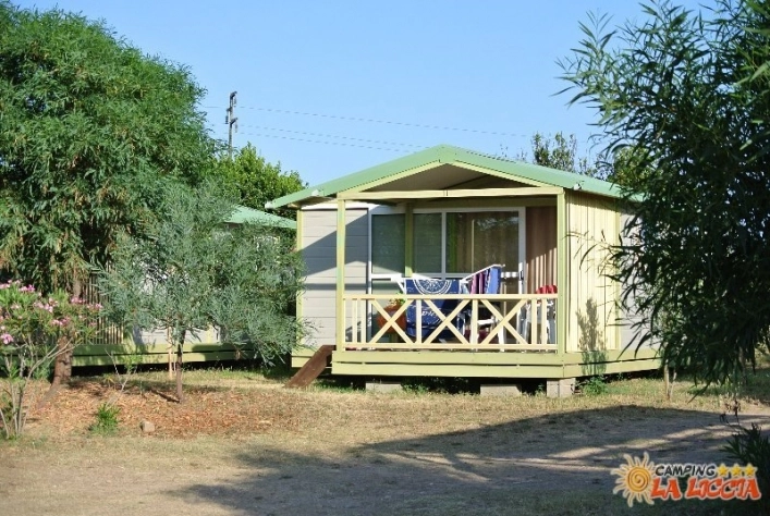 zobacz camping - zdjęcie 10