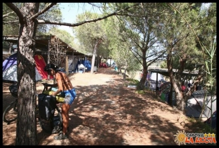 Camping La Liccia - zdjęcie 3