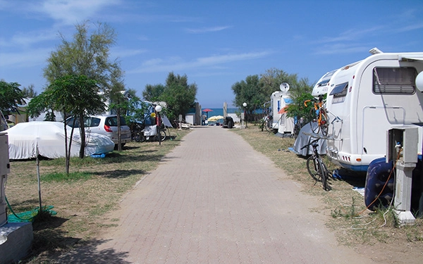 zobacz camping - zdjęcie 14