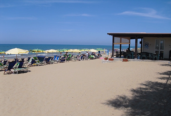 zobacz camping - zdjęcie 12