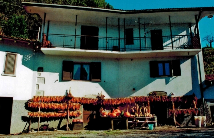 zobacz camping - zdjęcie 9