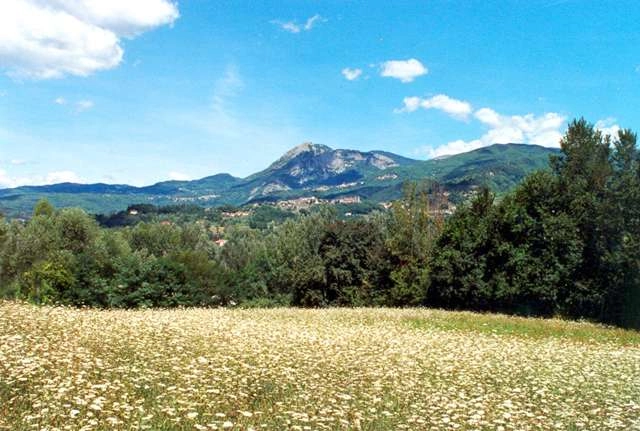 zobacz camping - zdjęcie 6