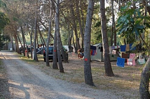 zobacz camping - zdjęcie 19