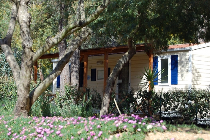 zobacz camping - zdjęcie 18