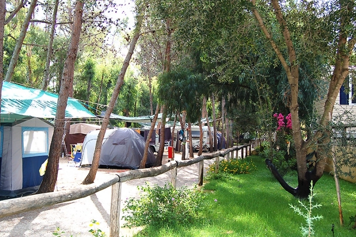 zobacz camping - zdjęcie 10
