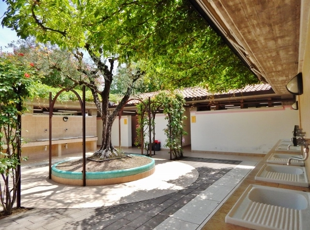 zobacz camping - zdjęcie 50