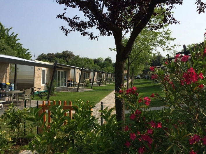 zobacz camping - zdjęcie 37