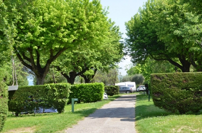 Camping La Quercia - zdjęcie 4