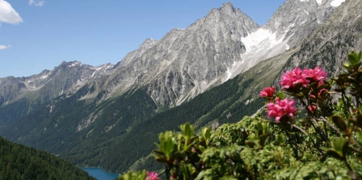 zobacz camping - zdjęcie 7