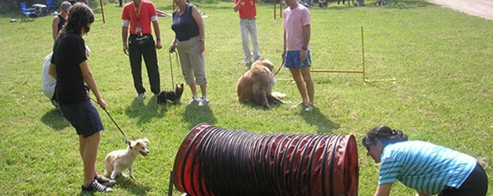 zobacz camping - zdjęcie 37