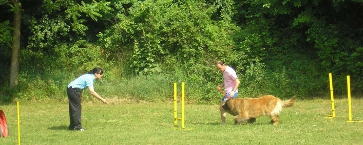 zobacz camping - zdjęcie 18