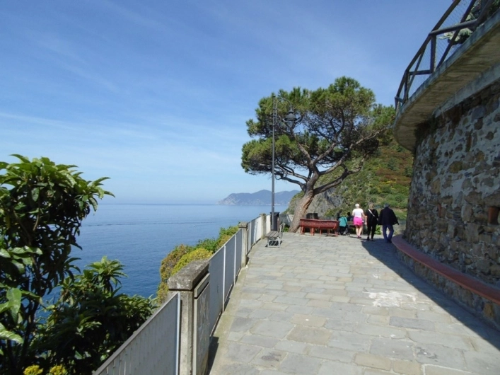 zobacz camping - zdjęcie 14