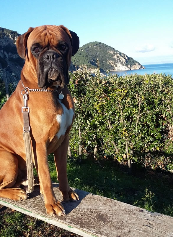 zobacz camping - zdjęcie 22