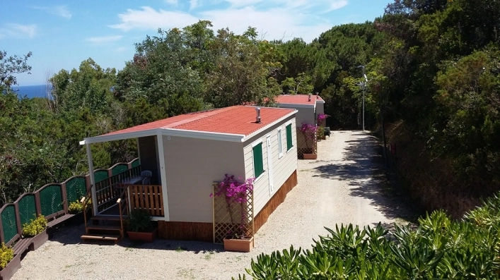 zobacz camping - zdjęcie 17