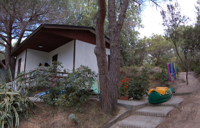 zobacz camping - zdjęcie 14