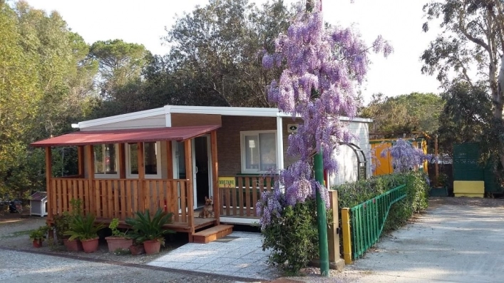 zobacz camping - zdjęcie 8