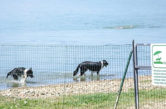 zobacz camping - zdjęcie 15