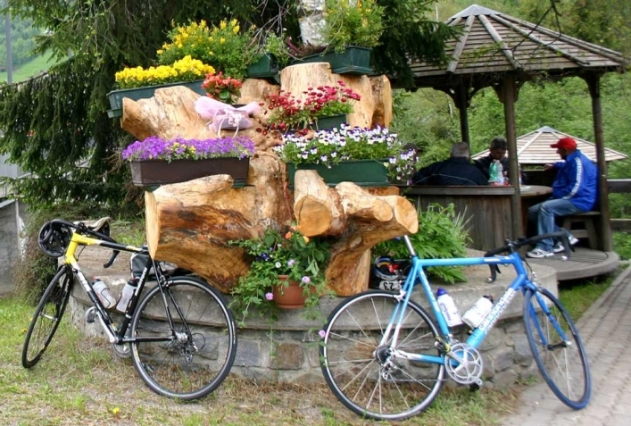 zobacz camping - zdjęcie 15