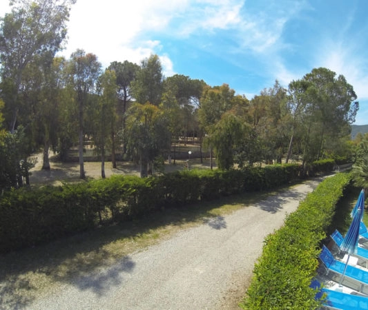 zobacz camping - zdjęcie 19