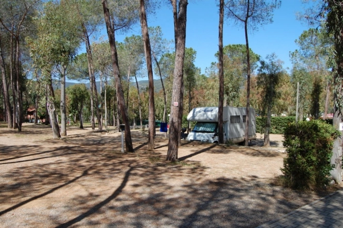 zobacz camping - zdjęcie 17