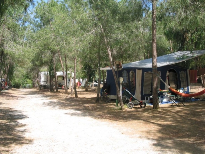 zobacz camping - zdjęcie 10