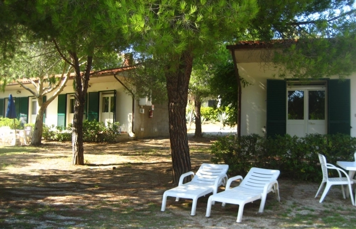 zobacz camping - zdjęcie 8