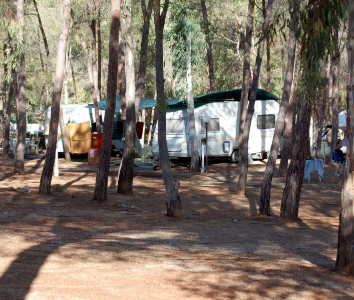 Camping Lacona - zdjęcie 4