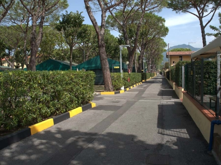 zobacz camping - zdjęcie 15